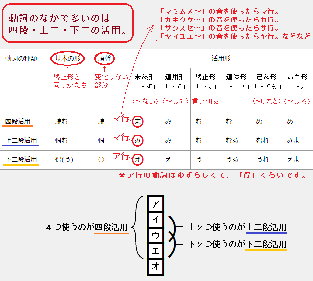 四段活用・上二段活用・下二段活用の動詞がたくさんある